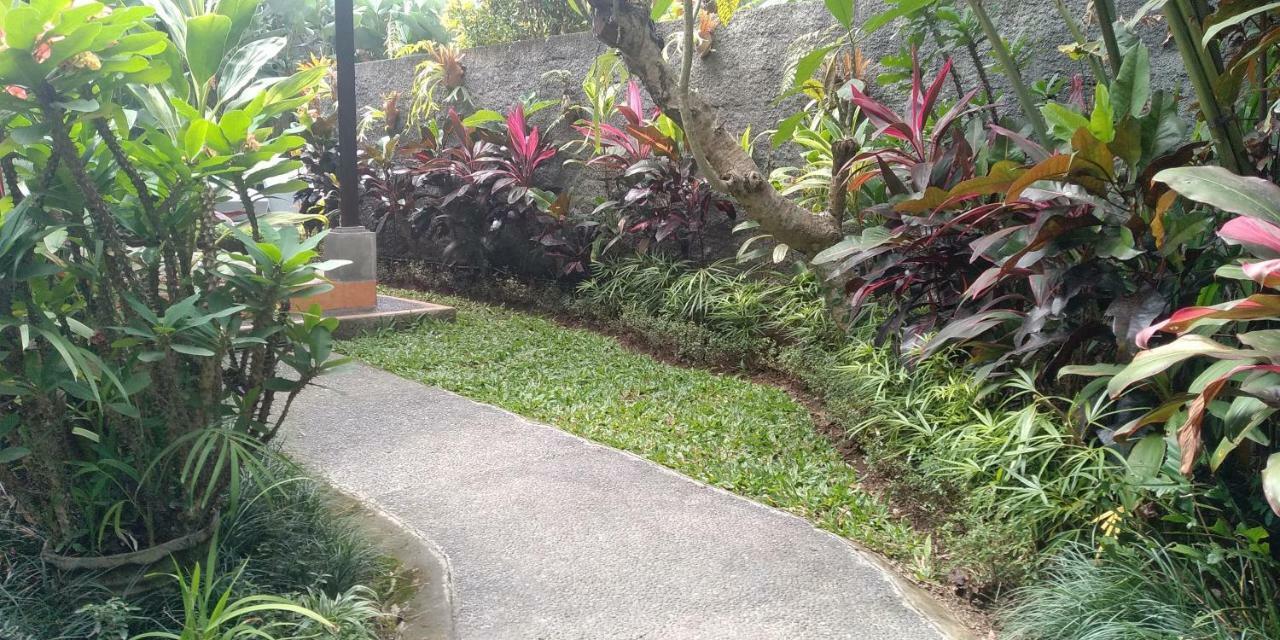 Dedik House Villa Ubud Eksteriør billede
